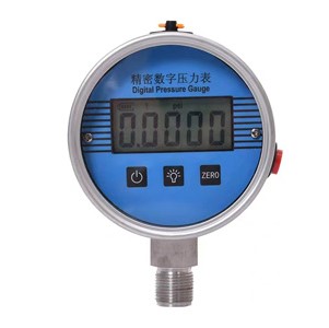 精密數(shù)字壓力表